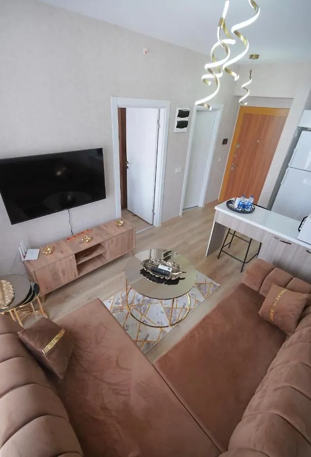 Classic Suite Ts22 Istanbul Apartment