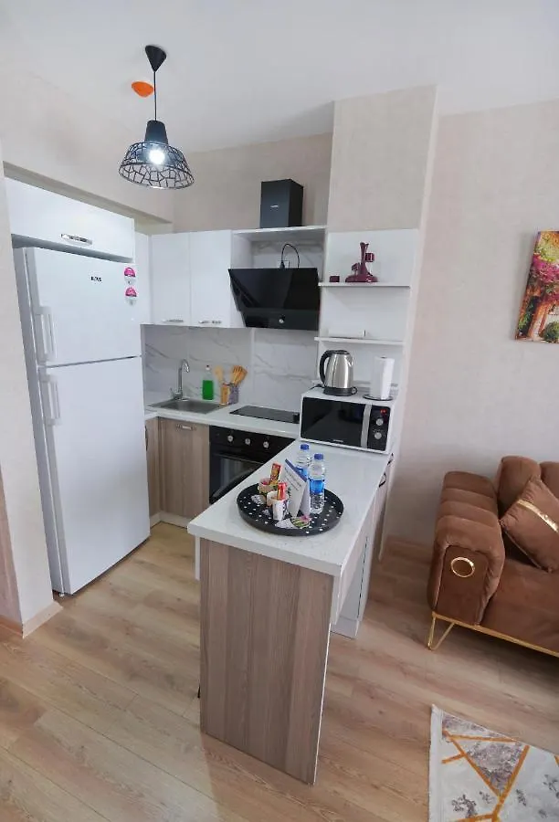 Classic Suite Ts22 Istanbul Apartment